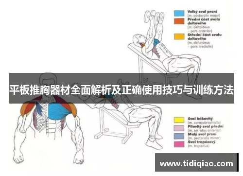 平板推胸器材全面解析及正确使用技巧与训练方法